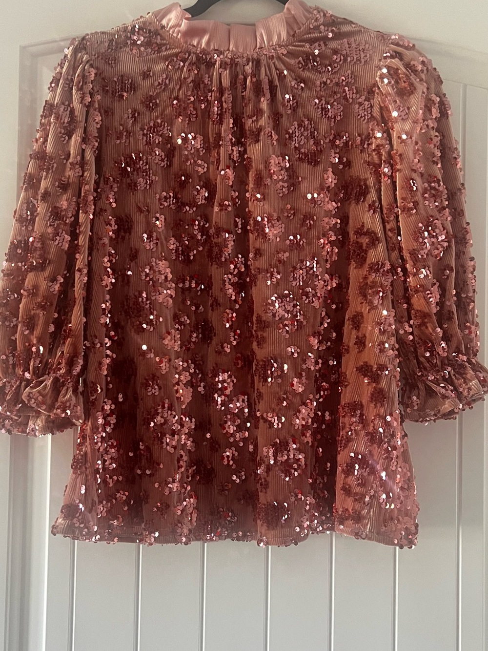 THML Rose Gold Sequin Velvet Blouse